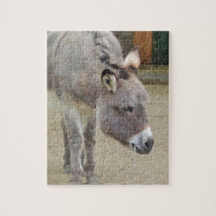 Sweet Donkey, Animal Grey, Horse Family Jigsaw Puzzle