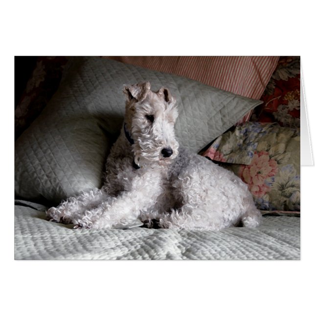 sweet dreams (Front Horizontal)