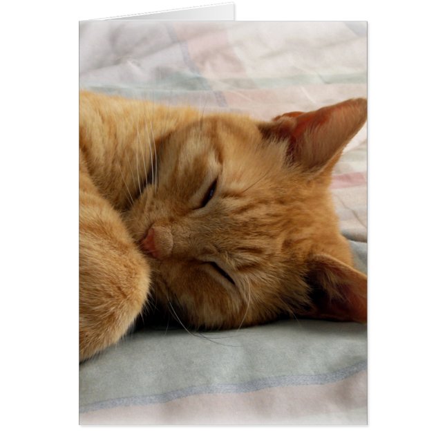 Sweet Dreams (Front)