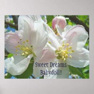 Sweet Dreams Babydoll! Baby Girl's Room art Floral Poster