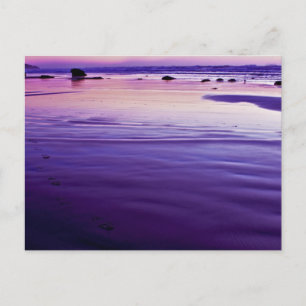 Sweet Dreams - Bandon, Oregon Postcard