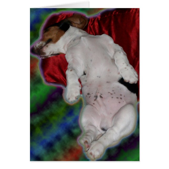 sweet dreams Basset card (Front)