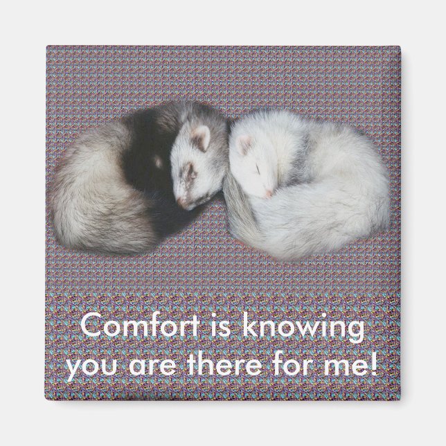 Sweet Dreams Ferrets Magnet (Devant)