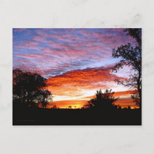 Sweet Dreams Kodi Postcard