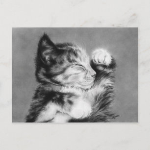 Sweet dreams little kitten Postcard