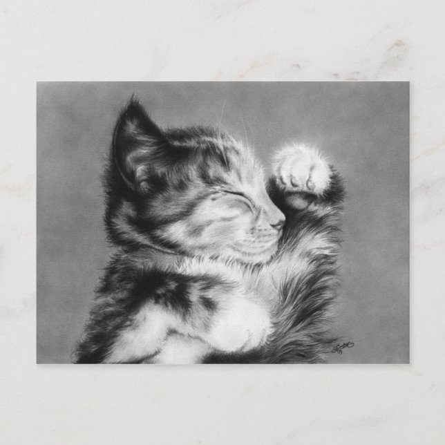 Sweet dreams little kitten Postcard (Front)