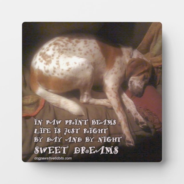 Sweet Dreams Paw Prints Plaque (Front)