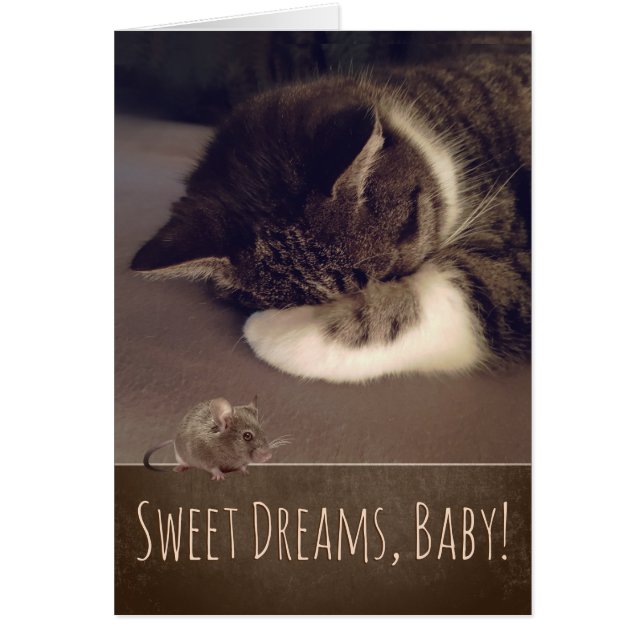 Sweet Dreams Sleeping Kitty (Text customizable) (Front)