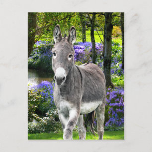 "Sweet Easter" Postcard