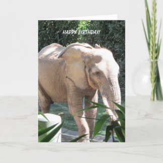 Sweet Elephant Birthday Wishes Card