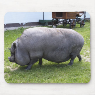 Sweet Fat Piggy | Farm Animal Mouse Pad