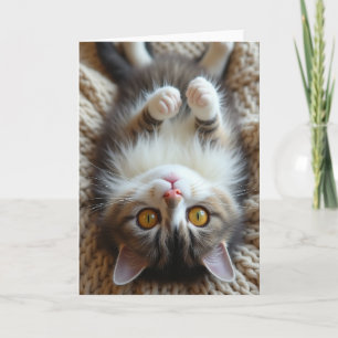 Sweet Fathers Day Feline Pose Card