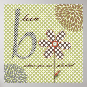 Sweet Flower Blossoms Poster