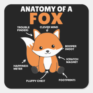 Sweet Fox Explanation Anatomy Of Fox Square Sticker