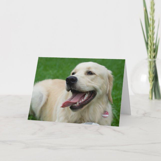 Sweet Friendly Labrador Card (Front)