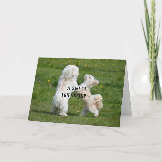 SWEET FRIENDSHIP CARD (Front)