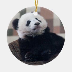 Sweet Giant Panda Baby Ceramic Ornament