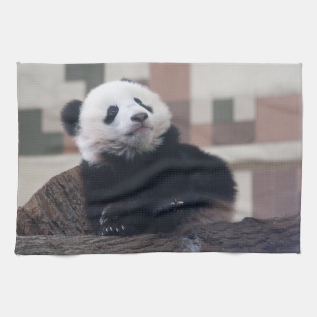 Sweet Giant Panda Baby Kitchen Towel (Horizontal)