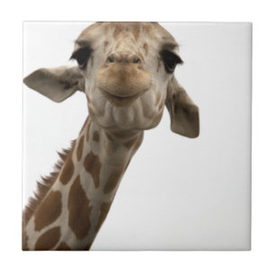 Sweet Giraffe Tile