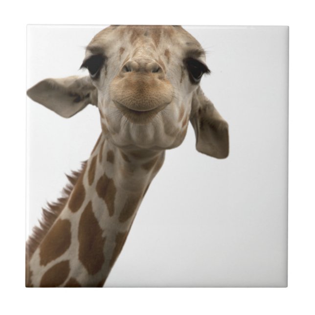 Sweet Giraffe Tile (Front)