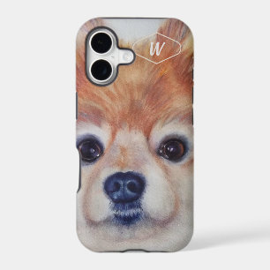 SWEET GOLDEN POMERANIAN