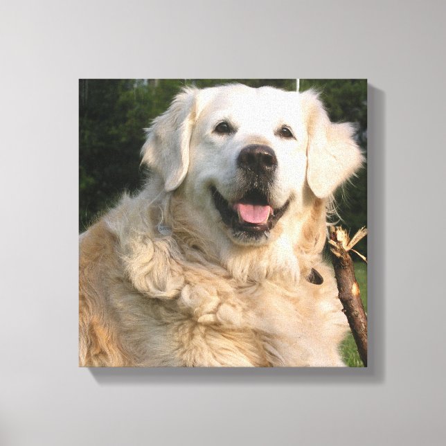Sweet Golden Retriever Canvas Print (Front)