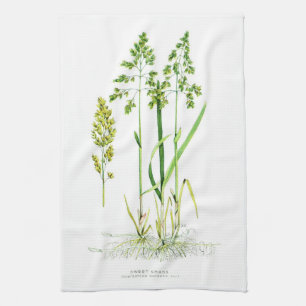 Sweet Grass Botanical Kitchen Towel