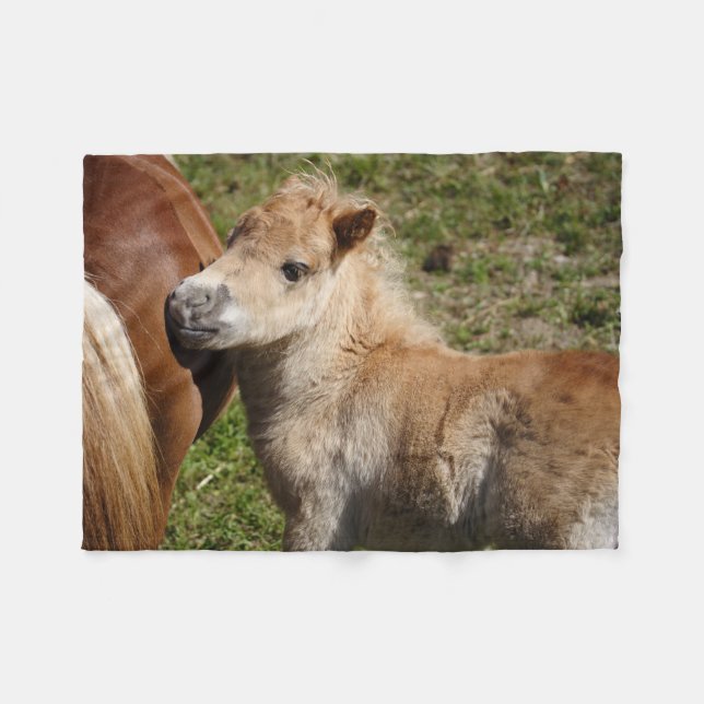 Sweet Haflinger Foal Fleece Blanket (Front (Horizontal))