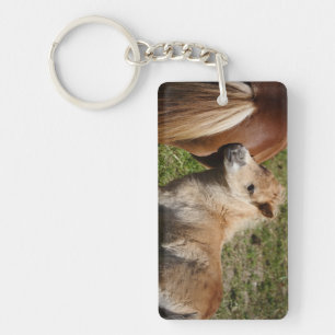 Sweet Haflinger Foal Keychain