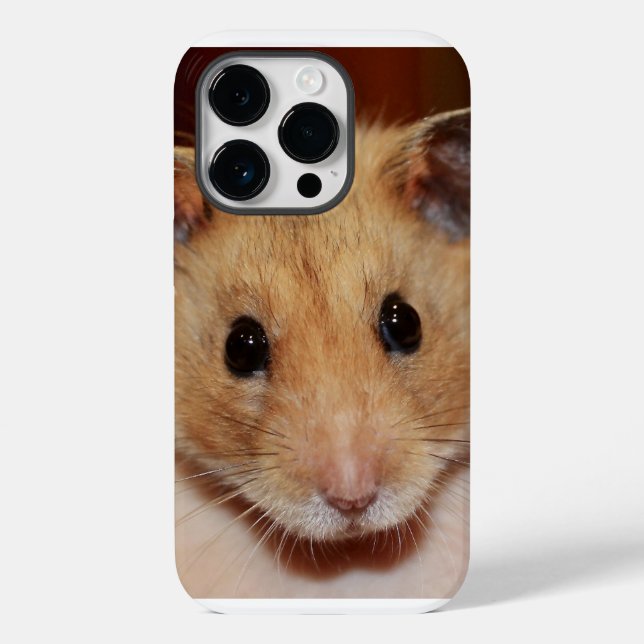 Sweet Hamster iPhone / iPad Case (Back)