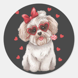 Sweet Havanese with Lollipop Valentine's Day. Classic Round Sticker