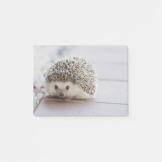Sweet Hedgehog Post-it Notes