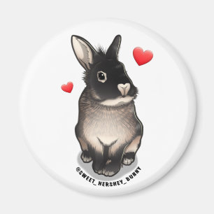 Sweet Hershey magnet