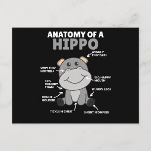 Sweet Hippo Statement Anatomy Of a Hippo Postcard