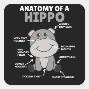 Sweet Hippo Statement Anatomy Of a Hippo Square Sticker