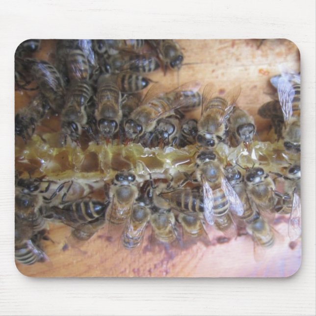Sweet Honey Bee Mousepad (Front)