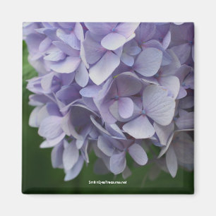 Sweet Hydrangea Flower Photo Magnet - Customized