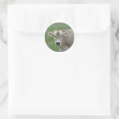 sweet jersey cow classic round sticker (Bag)