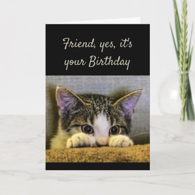 Sweet Kind Caring Friend Birthday Cute Kitten Card (Front)