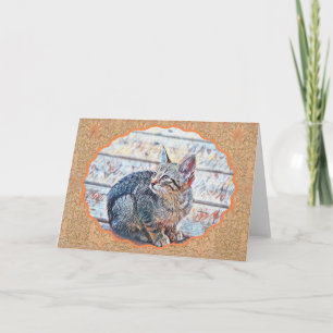 Sweet Kitten Art on Vintage Pattern Note Card