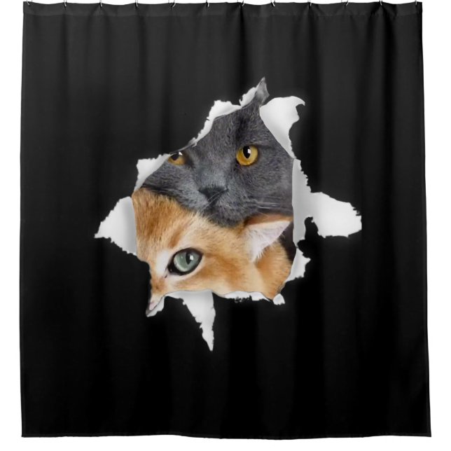Sweet Kitten Couple | Funny Cat Lover Gift (Front)
