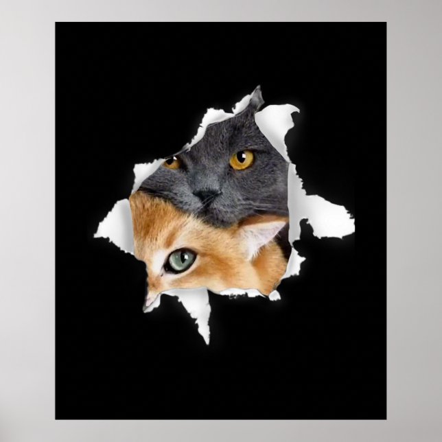 Sweet Kitten Couple | Funny Cat Lover Gift Poster (Front)