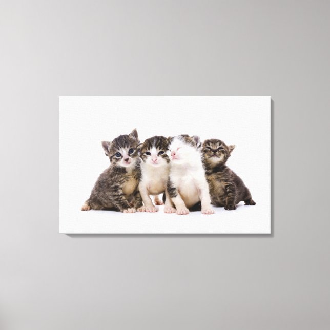 Sweet Kittens Canvas Print (Front)