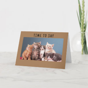 "SWEET KITTENS" HAPPY BIRTHDAY  CARD