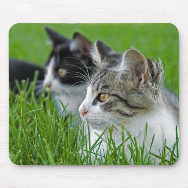 Sweet Kittens Mouse Pad (Front)