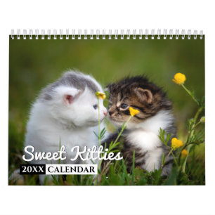 Sweet Kitties Calendrier de mur photo
