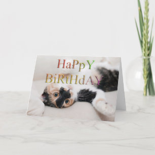 Sweet kitty happy birthday card