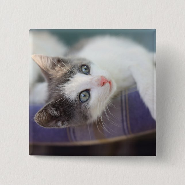 Sweet Kitty In Plaid Bed 2 Inch Square Button (Front)