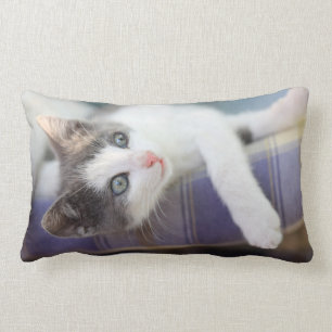 Sweet Kitty In Plaid Bed Lumbar Pillow