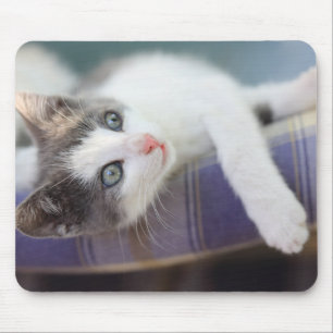 Sweet Kitty In Plaid Bed Mouse Pad